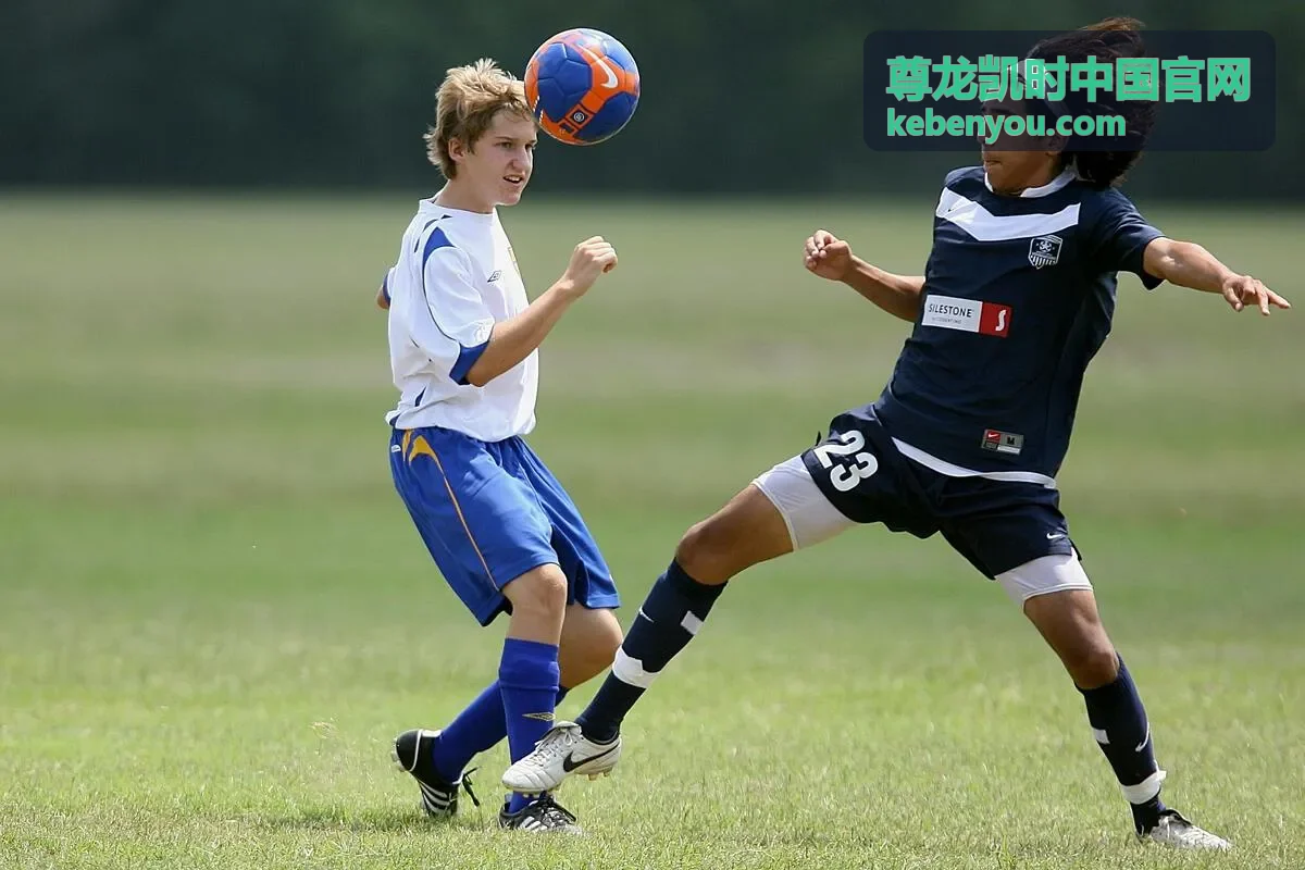 尊龙凯时活动场地交通指南